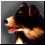 Avatar de Lord Lionel